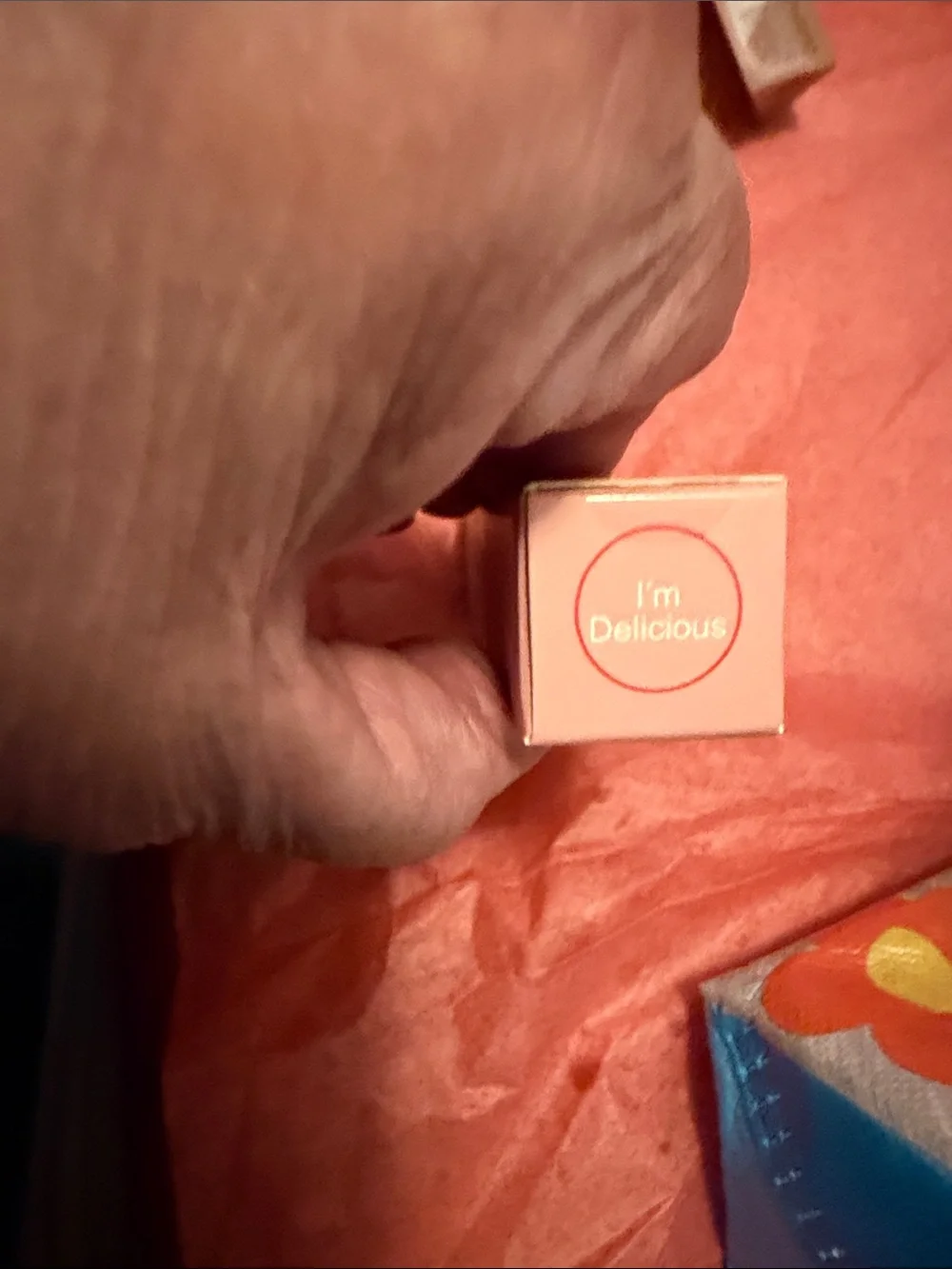 Just Ximena The 3-in-1 Stick in I’m Delicious NEW